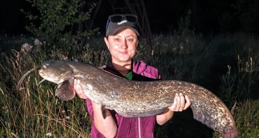 Рыболовный рекорд: в Тверской области пойман сом палеонтологических размеров