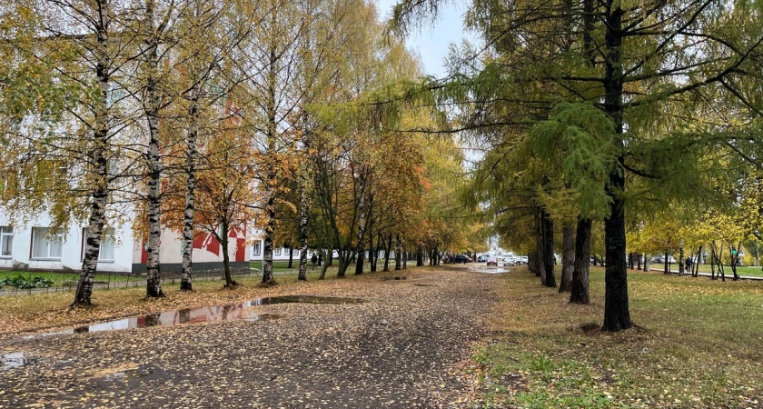 Фото к статье: Тверичане промокнут и замерзнут: прогноз погоды на 17 октября