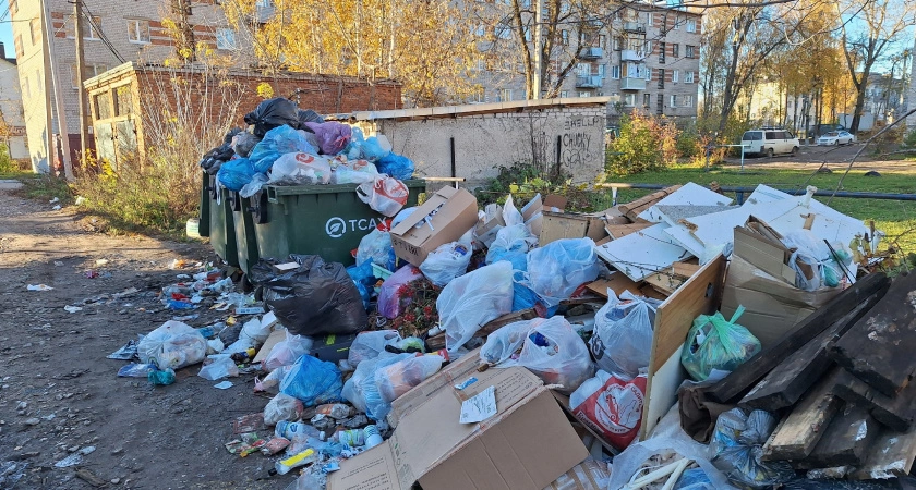 Фото к статье: Город утопает в мусоре: жители Торжка делятся кадрами переполненных помоек