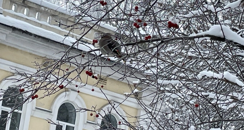 Фото к статье: Погода в Твери лучше не станет: озвучен прогноз на 31 октября