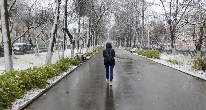 Фото к статье: Тверскую область покрывает "черный" лед: что это значит