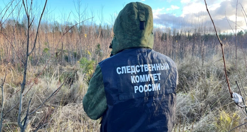 Фото к статье: Жуткая находка: в Тверской области нашли останки ранее пропавшего жителя