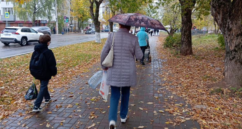 "Тепловая пушка" уничтожит весь снег: прогноз погоды в Твери на 8 ноября