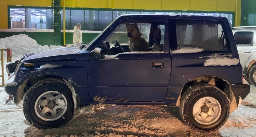 Фото к статье: Больше не вспоминаю про запотевшие стекла: кладу этот пакет под лобовое и езжу с кайфом всю зиму