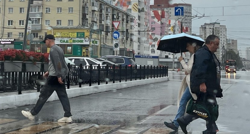 Улучшений не будет: синоптики дали прогноз погоды в Твери на 19 ноября