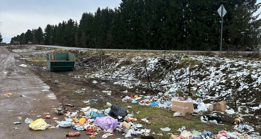 Жители Твери жалуются на мусорные свалки на улицах