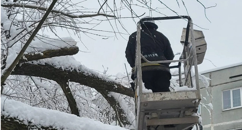 Фото к статье: Дождались покоя: синоптики прислали свежий прогноз погоды в Твери на 26 ноября