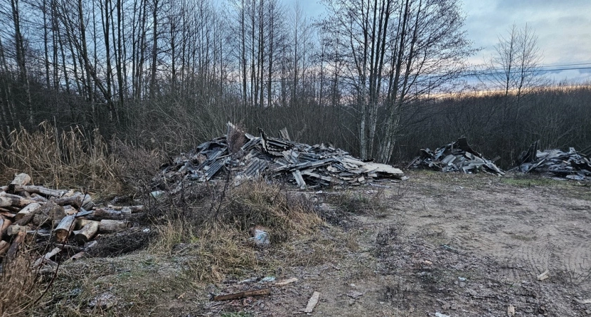 Фото к статье: От бытового мусора до трупов: жители Торопецкого округа взялись за администрацию