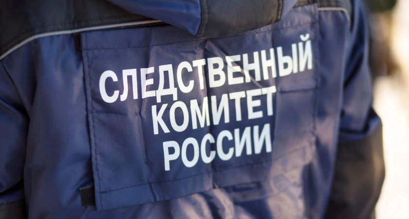 Фото к статье: Пойдёт под суд: в Селижарово Тверской области местный житель избил свою мать