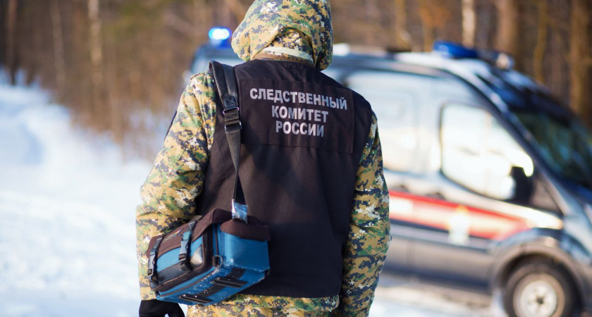 Трагедия в Торопецком районе: три человека погибли на пожаре в деревне Волок