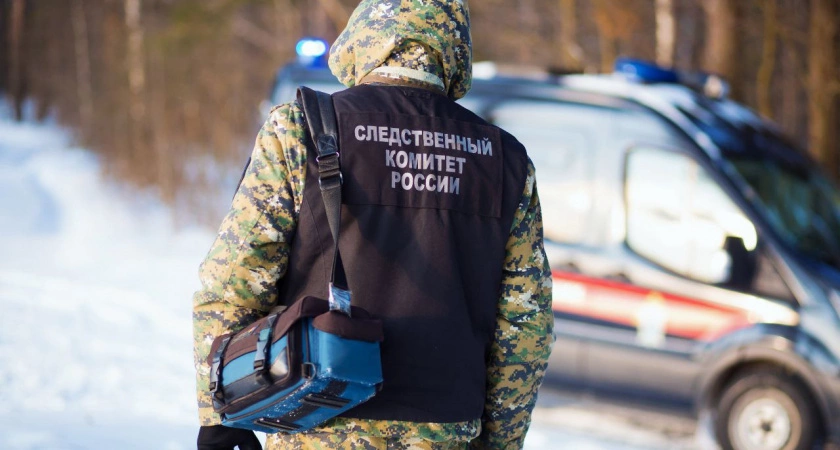 Фото к статье: Трагедия в Торопецком районе: три человека погибли на пожаре в деревне Волок