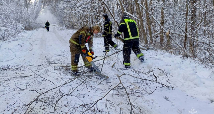 Сильный снегопад и ветер до 15 м/с: в МЧС опубликовали предупреждение для жителей Тверской области на 16 декабря