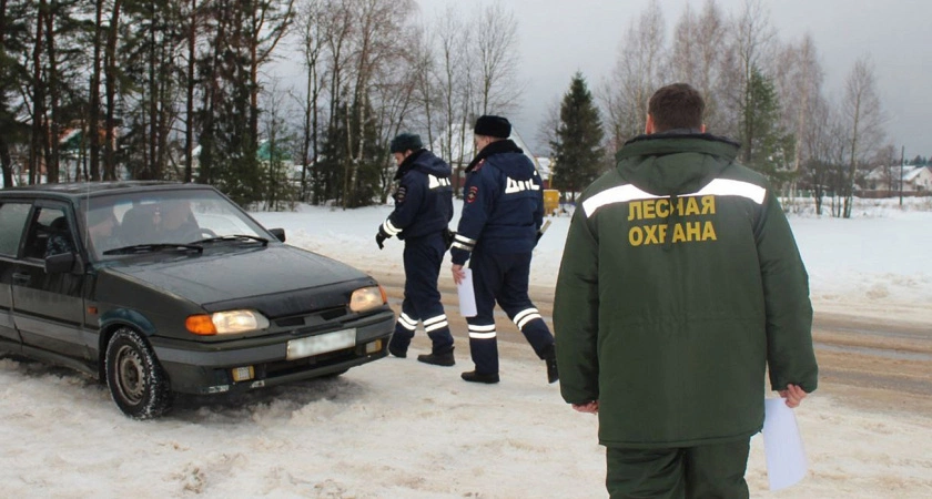 Фото к статье: В Тверской области усилили охрану хвойных деревьев перед Новым годом: стартовала акция «Ёлочка»