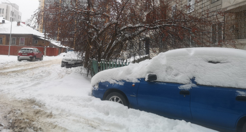 В Тверской области теплеет: волна тепла сменяет Никольские морозы