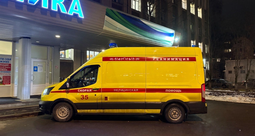 Фото к статье: В Твери в сметане обнаружен золотистый стафилококк: начата проверка