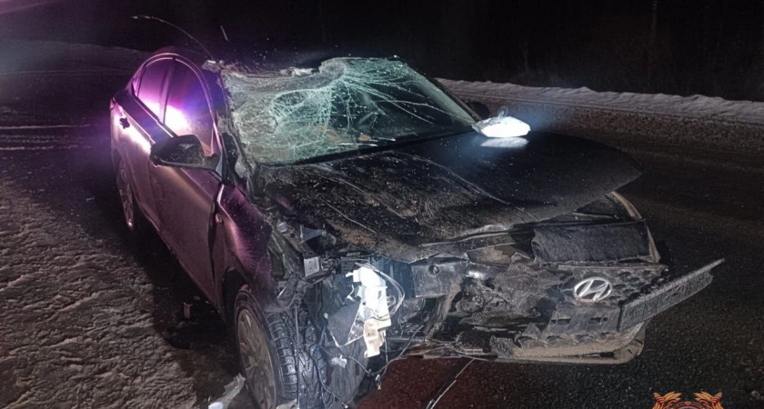 Фото к статье: Сводка ДТП за 26 декабря в Тверской области: 4 аварии, 4 пострадавших