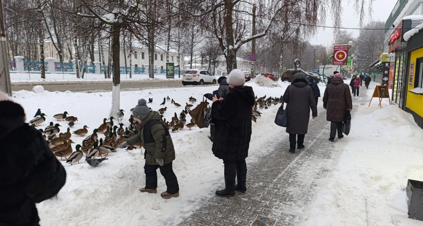 Фото к статье: Начнется 31 декабря и будет неделю подряд. Синоптики предостерегли всех, к чему готовиться