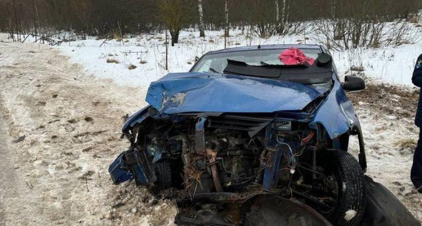 В Тверской области 56-летний водитель разбил машину, влетев в дерево