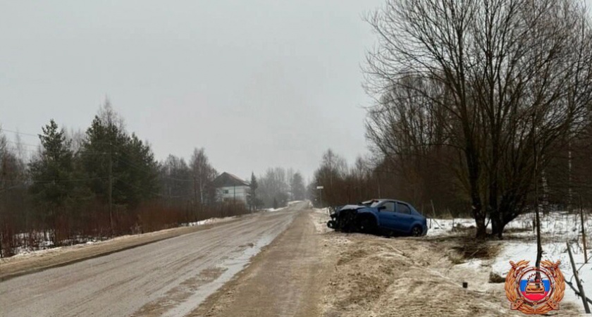 16 ДТП за пять дней произошло в Тверской области: 20 травм и 1 смерть