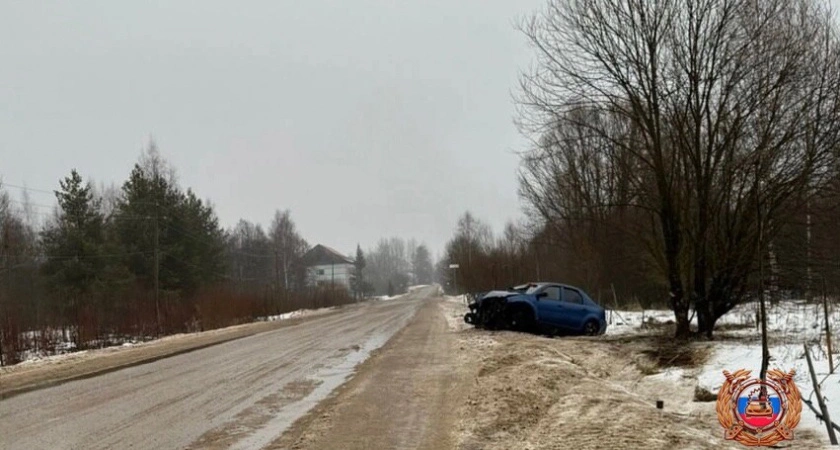 Фото к статье: 16 ДТП за пять дней произошло в Тверской области: 20 травм и 1 смерть