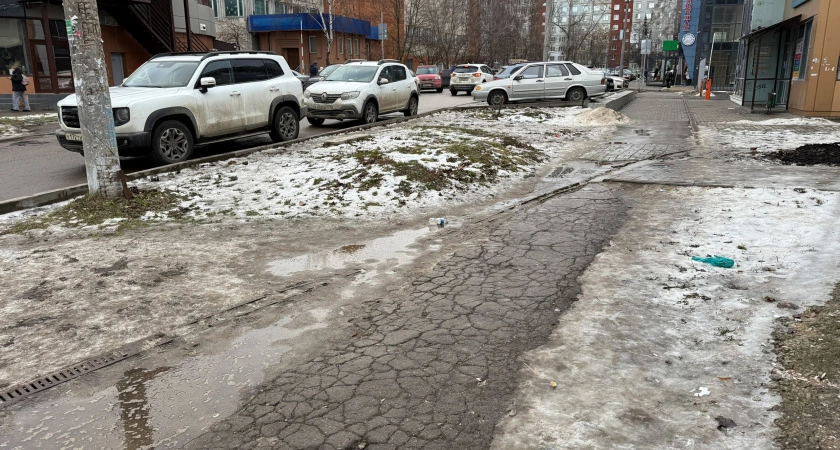 Фото к статье: Зимы больше не будет: Вильфанд удивил прогнозом на январь и февраль
