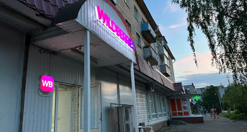 Фото к статье: Такого в Wildberries ещё не было. Теперь стали охотиться на детей