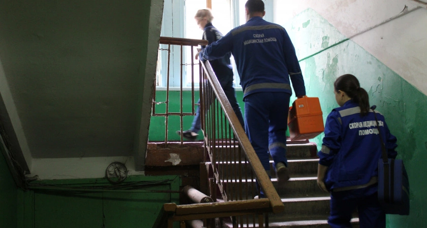 Фото к статье: Первый случай бешенства в Тверской области выявили в Краснохолмском округе
