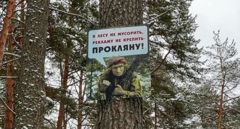 За мусор в Верхневолжье угрожают кризисами, проклятиями и кредитованием: и это не все