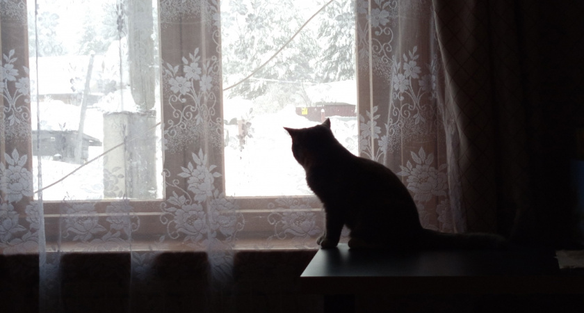 Тверскую область ожидают мокрый снег и плюсовая температура: прогноз на неделю