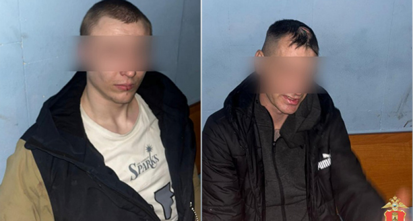 Разбойники с большой дороги: в Твери полиция задержала подозреваемых в нападении с молотком