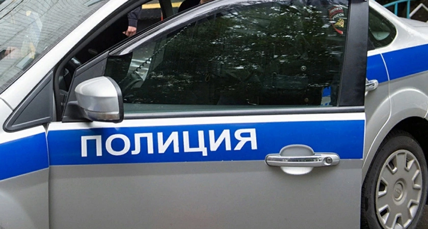 Фото к статье: Под пушистым прикрытием: дама с собачкой украла у жительницы Верхневолжья планшет