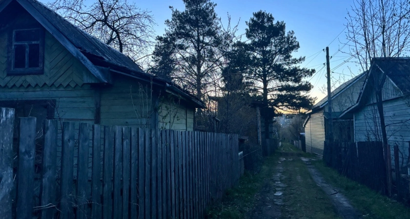 Фото к статье: Тревожный звонок для тверских землевладельцев: что ждет заброшенные участки с 1 марта?