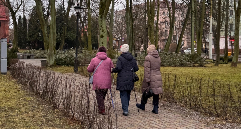 Фото к статье: Трудовой стаж пересчитают с этого года: теперь пенсии будут начисляться с применением других правил