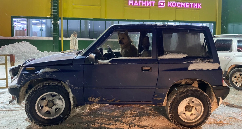 Фото к статье: Вот сколько минут надо прогревать двигатель зимой: эксперты по автомобилям дали четкий ответ
