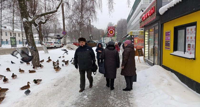 Фото к статье: Весной ударят аномальные морозы, которые будут хуже зимних в разы. Синоптики озвучили прогноз на март и апрель