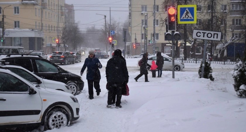 Фото к статье: Не сильно радуйтесь теплой "земляничной зиме": синоптики рассказали, каких аномалий ждать от марта