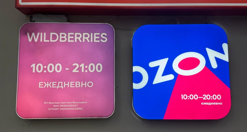 Фото к статье: «Мы прекращаем работу c 15 марта»: Wildberries и Ozon объявили важное решение для россиян