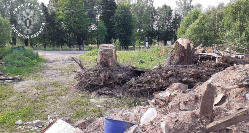 Фото к статье: После вмешательства прокуратуры в Тверской области вывезли более 260 тонн мусора