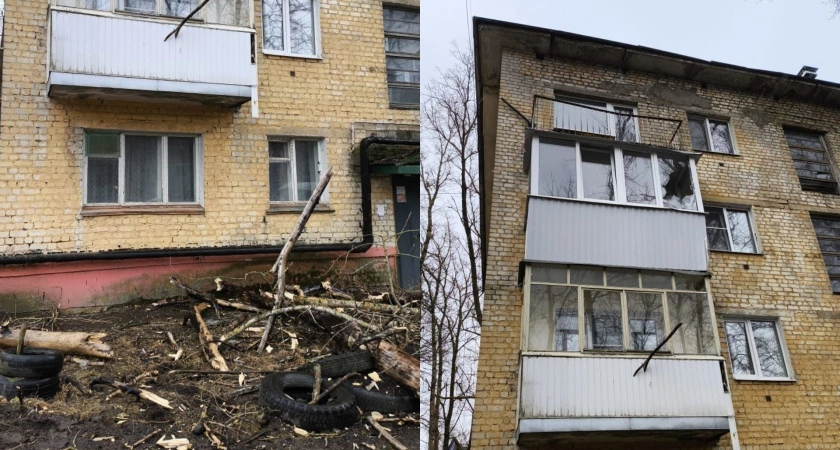 Фото к статье: В Тверской области аварийное дерево упало на дом и выбило окно
