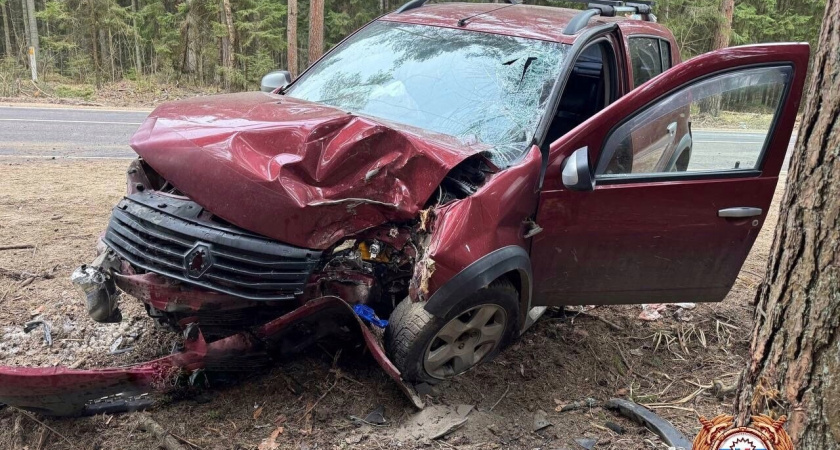 Водитель Renault Sandero вылетел в кювет и врезался в дерево под Тверью