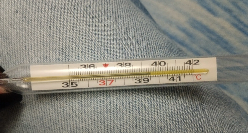 Фото к статье: Будем работать даже с температурой 38 °C: Минздрав готовит обидный подарок с больничными для всех россиян