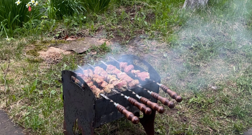 Фото к статье: Сталин ел только такой шашлык: лучший маринад, с ним мясо получается невероятно мягким, сочным и ароматным