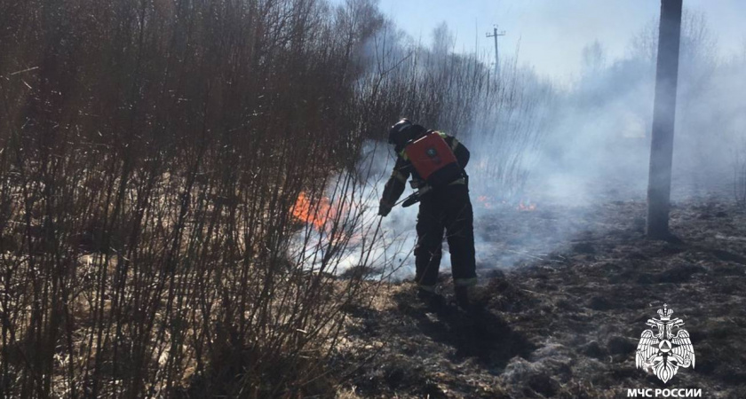 В Тверской области объявили тревогу: сухую траву жгут на глазах у МЧС