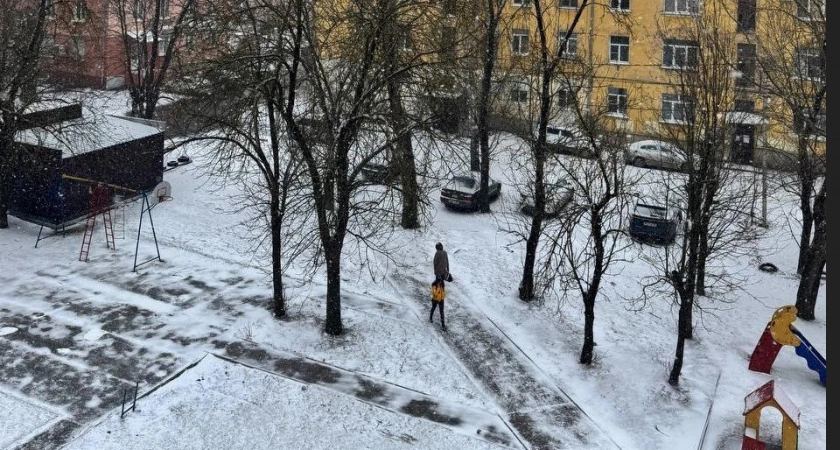 Фото к статье: Зима вернулась: в Тверской области снегопад продлится почти двое суток
