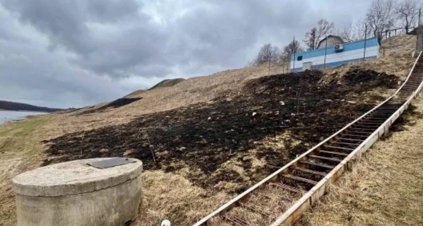 В Твери мужчина устроил поджог травы у метеостанции: пожарные спасли здание