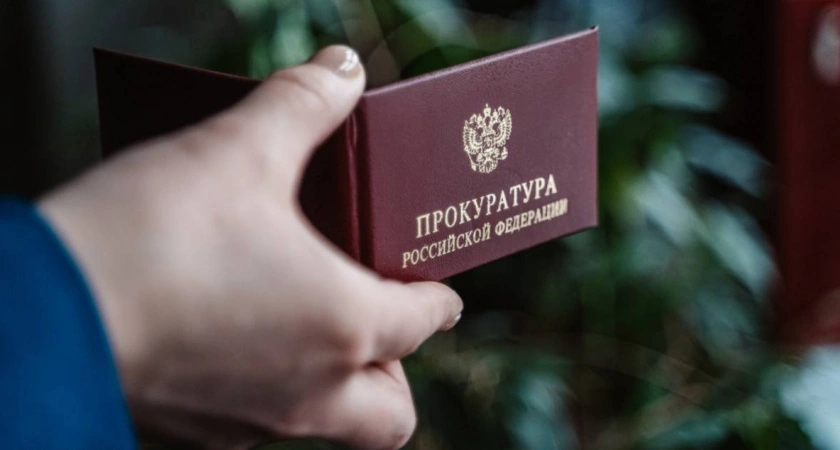 Фото к статье: В Бежецке владелец собаки заплатит компенсацию за укус ребёнка
