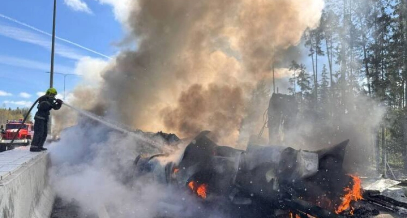 Фото к статье: На трассе М-11 под Тверью столкнулись два грузовика и легковушка — произошло возгорание
