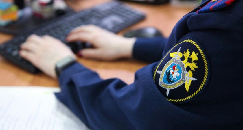 Фото к статье: СК: Украинские кураторы велели двум подросткам из Тверской области совершить теракт 