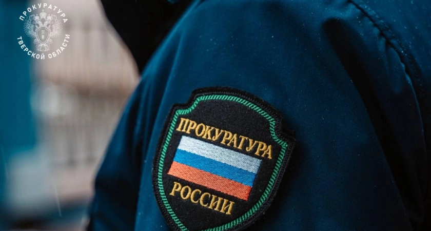 Фото к статье: «Черным лесорубам» из Осташкова вынесли приговор