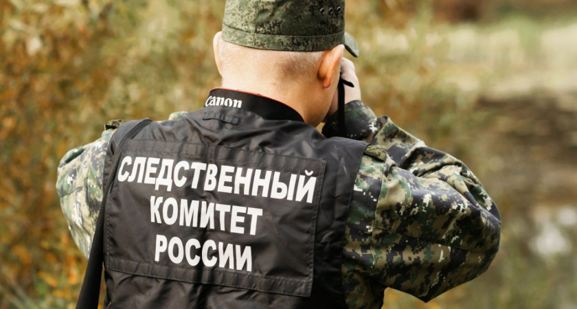 Следователи начали проверку по факту гибели девушки на сапе в Конаковском районе